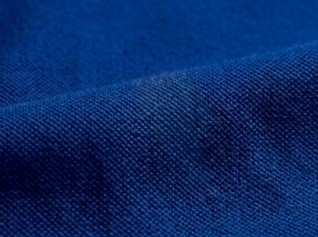 The Premium Pick: "PicAclo" Elite Heritage 240 GSM Cotton Polo – Royal Blue